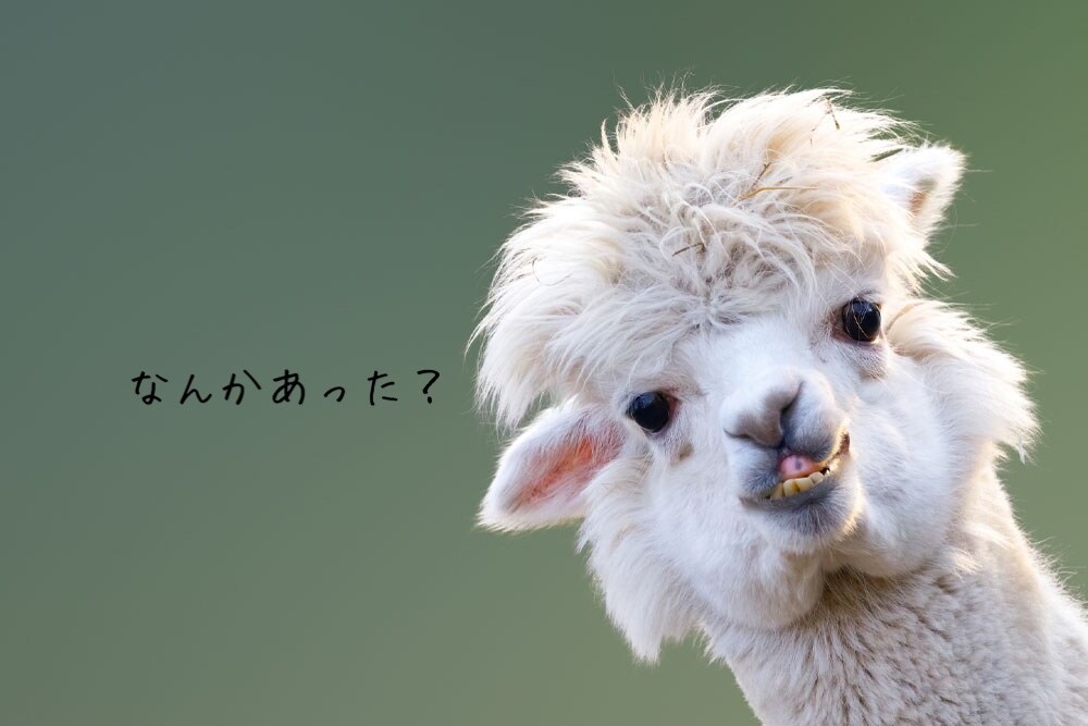 ともだちトークします まるで昔からの友人のように話を聞きます♪ イメージ1