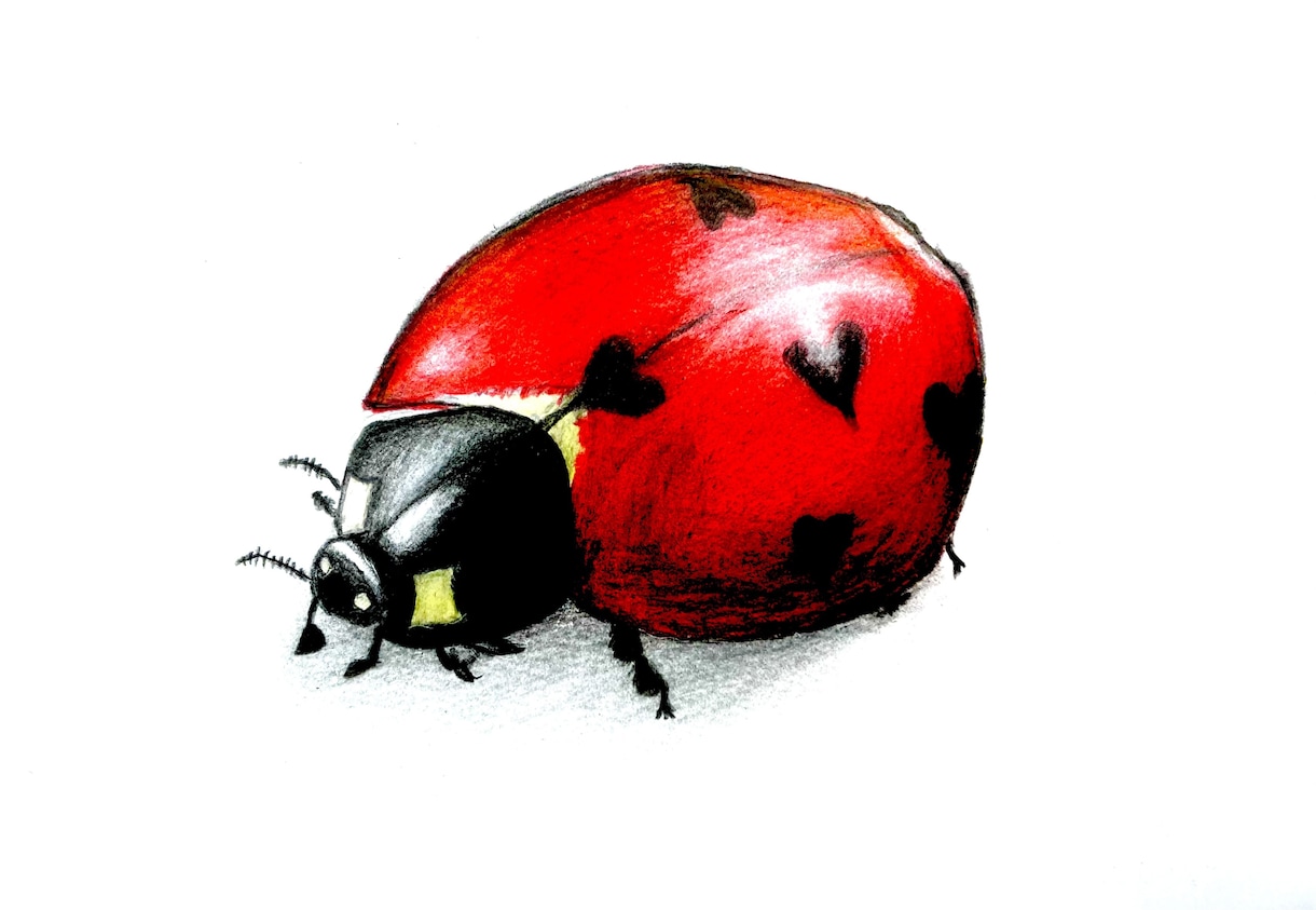 動物や似顔絵を色鉛筆で優しく描きます 育児をしているパパが色鉛筆でユーモアな絵を描きます^_^ イメージ2