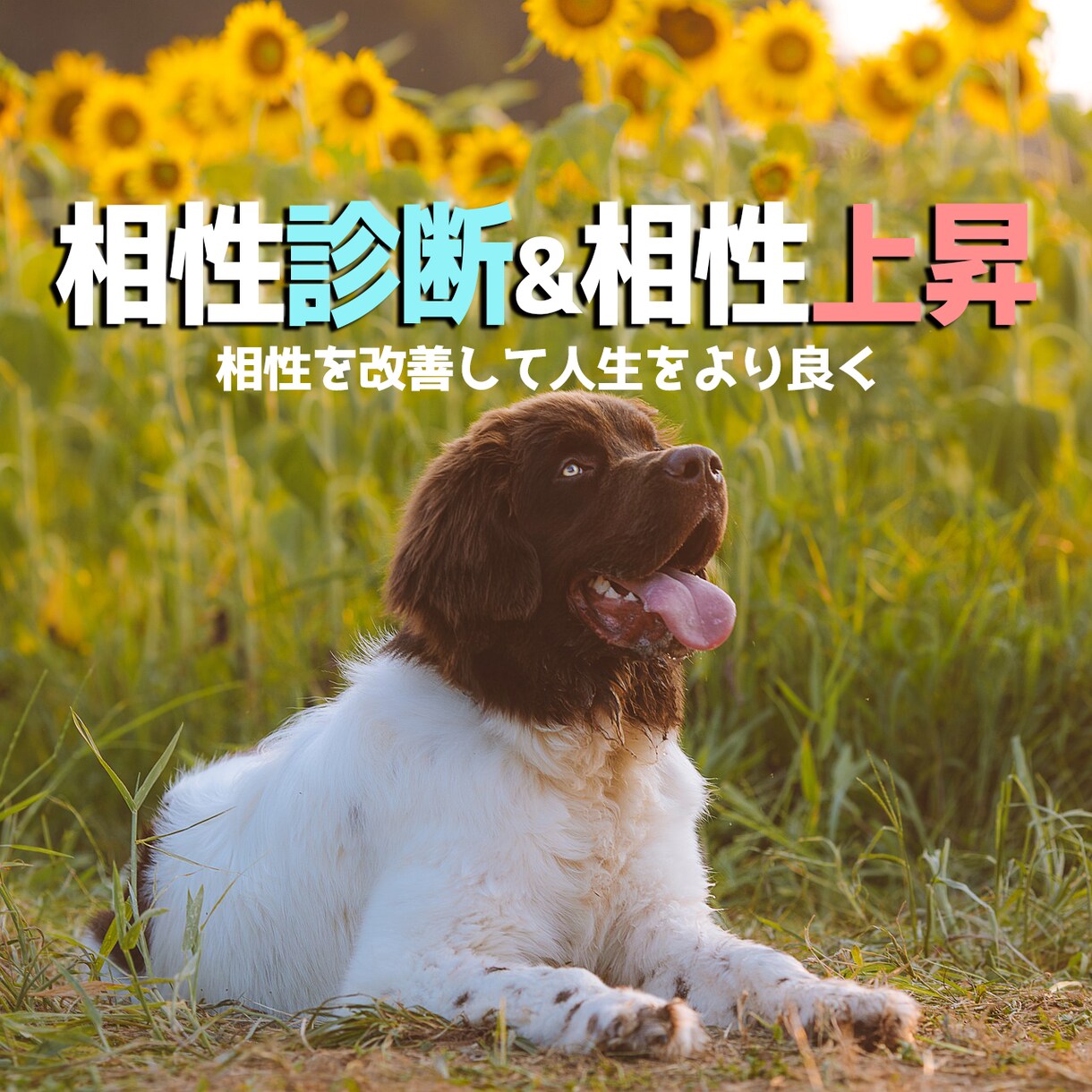 オールジャンル対応の相性診断&相性上昇を提供します 様々な物との相性がわかり、上昇も出来る！ イメージ1