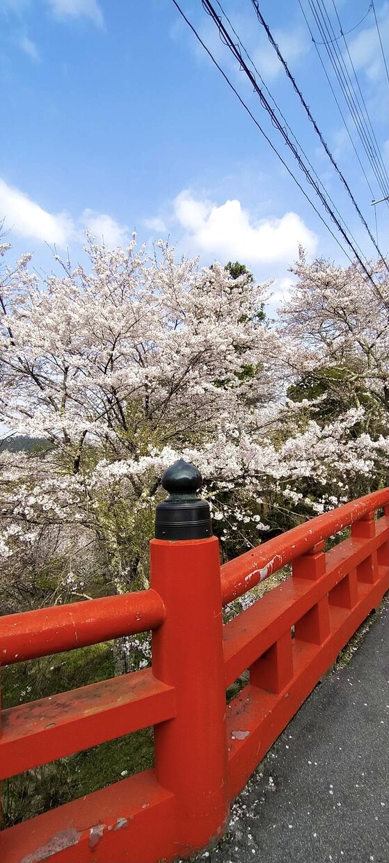 あなたに合う神社仏閣をお探しします 人によって、その時々、呼んでくださる神様がおられます。 イメージ3