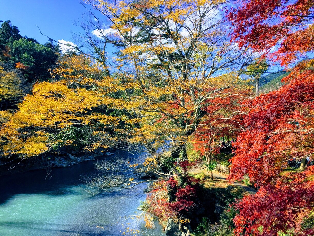 3日間何でもお話し聞きます 誰かと話しをしたい人や癒されたい人、雑談したい人に イメージ1