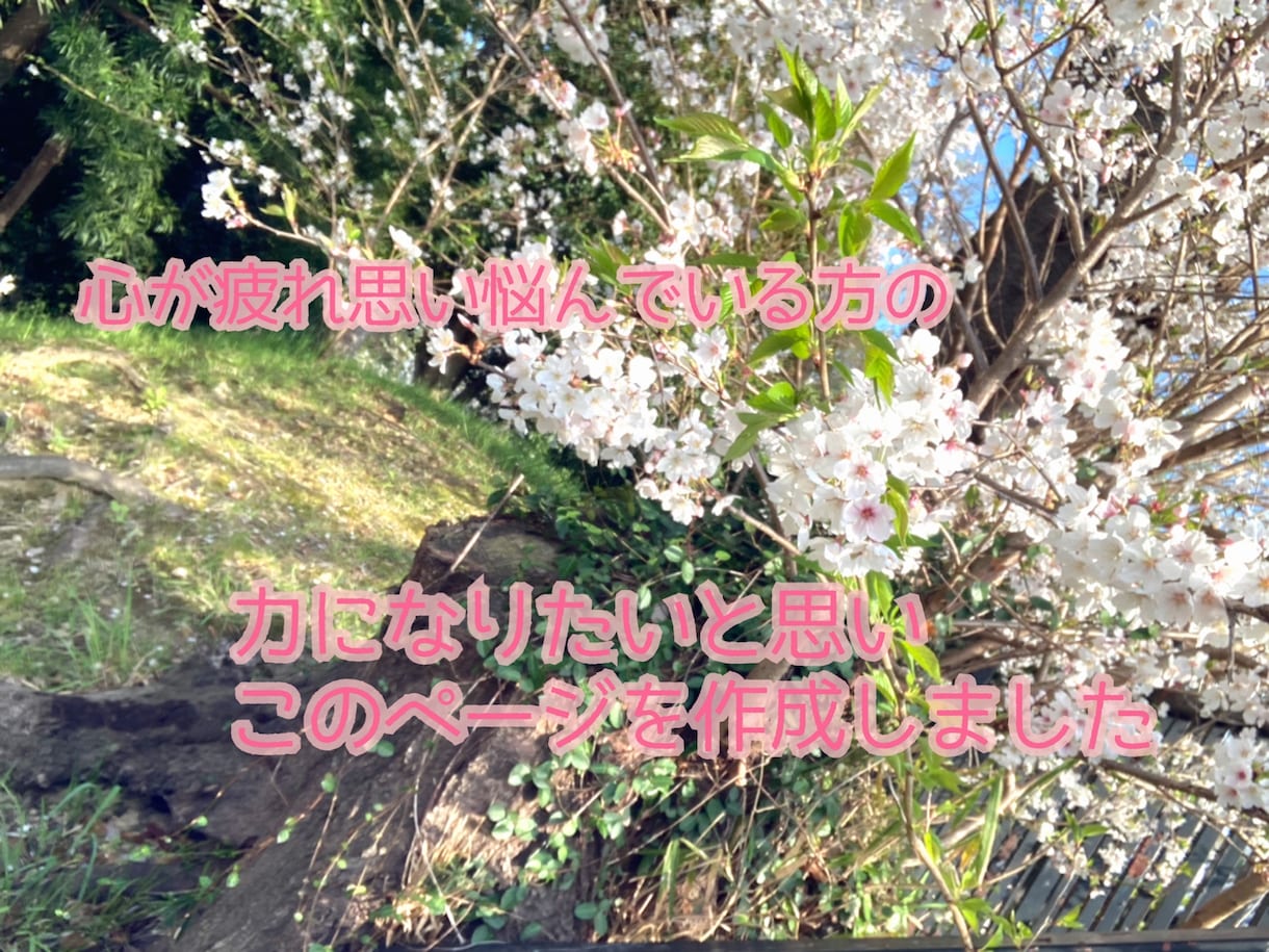 私のつけまメイク.ふたえの作り方お教えします ☆オンラインで映える.マスクでも疲れて見えないメイク☆ イメージ10