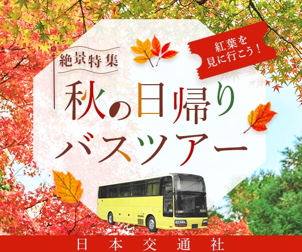 修正無制限！バナーなどWEB画像をお作りします 目を惹く・伝わりやすいWEB画像をデザインします イメージ8