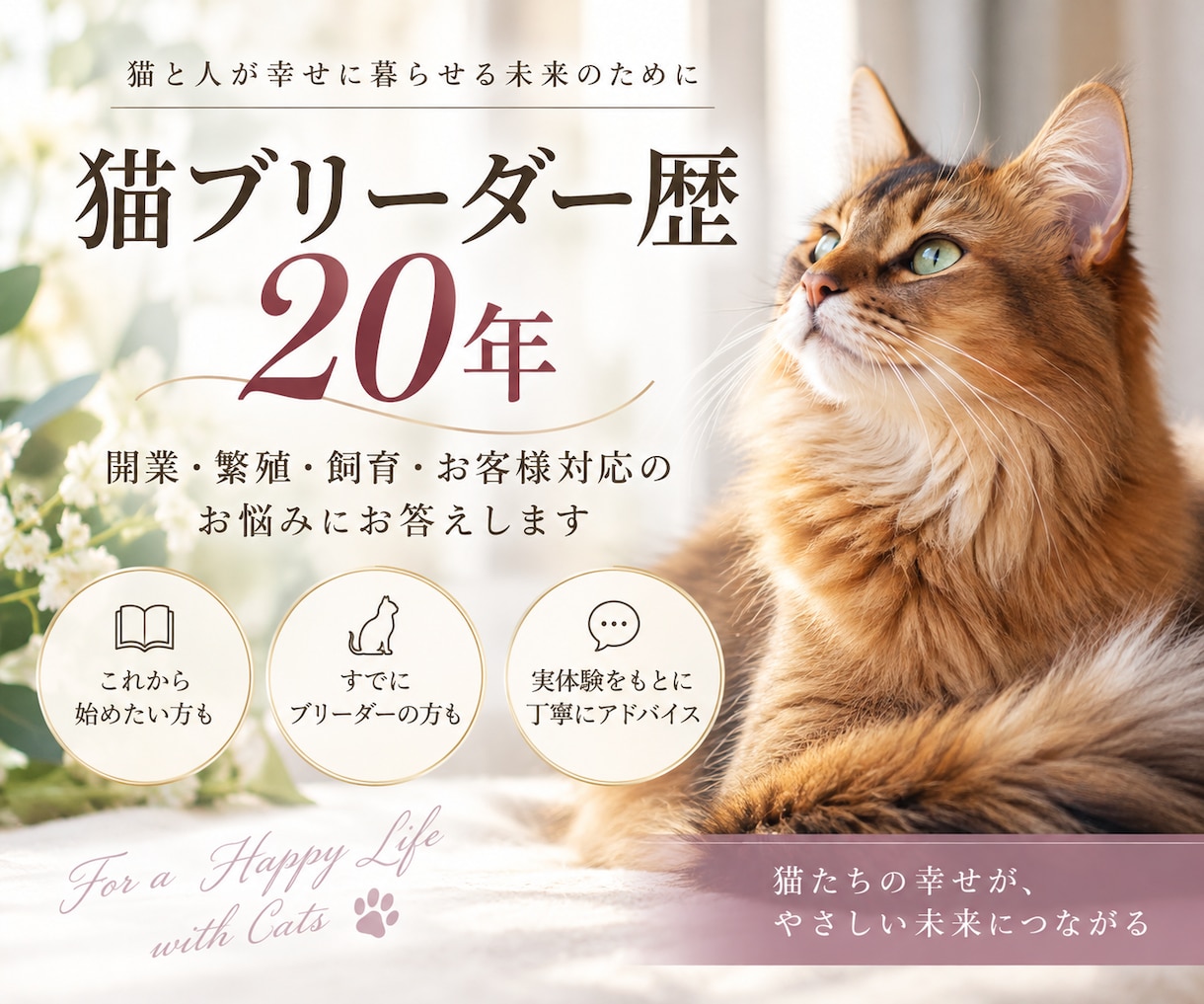 猫ブリーダーのお悩みに答えます ブリーダー歴20年の実体験からお答えします イメージ1
