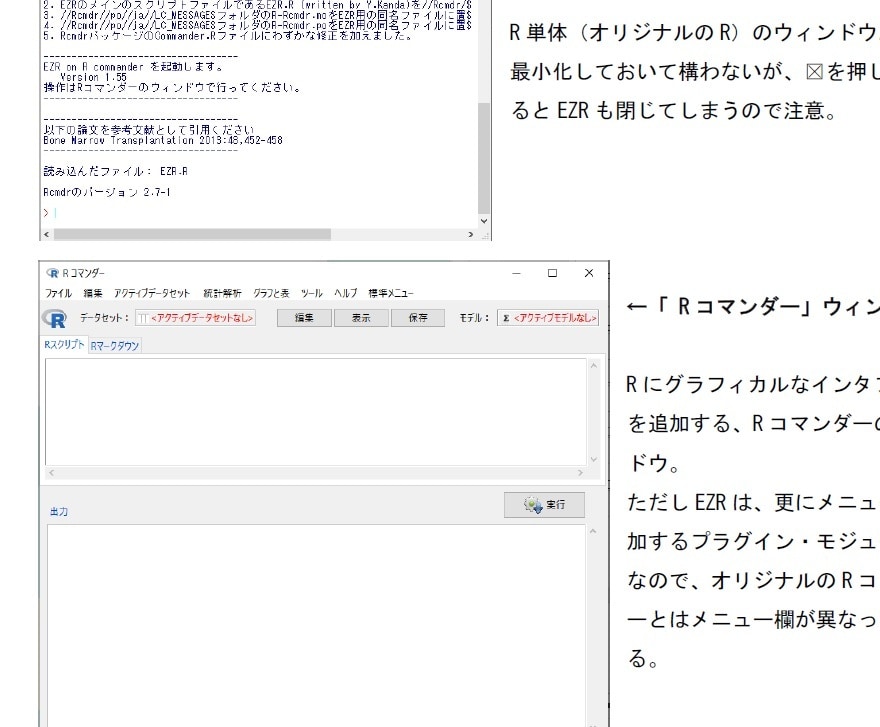 統計分析ソフトR の初心者向けマニュアル提供します 〈 出来るだけコマンドを使わずに習得 〉 イメージ2