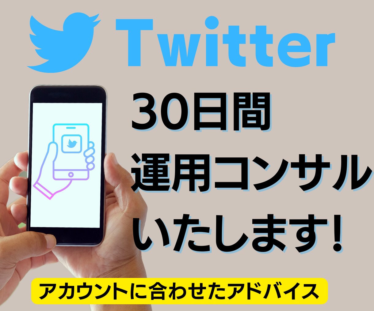 Twitterを30日間コンサルします 何をしたらいい？を解決し、Twitterの運用方法を伝授！ イメージ1