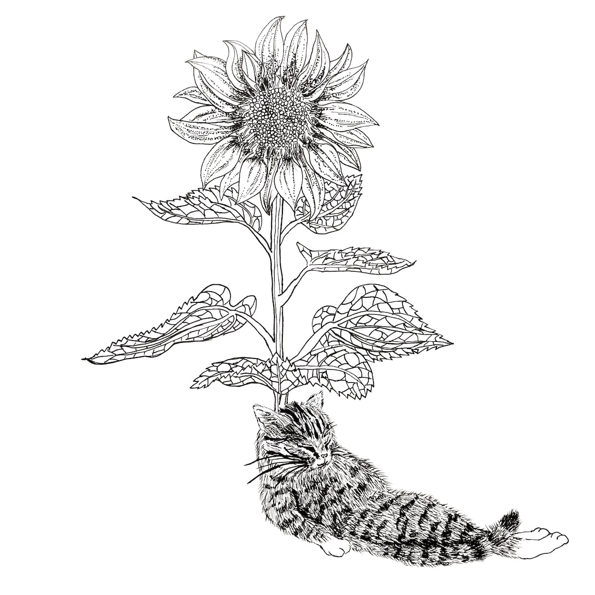 あなたの大好きなペットや動物の似顔絵を描きます 一点だけの特別な絵を飾ってみませんか？ イメージ3