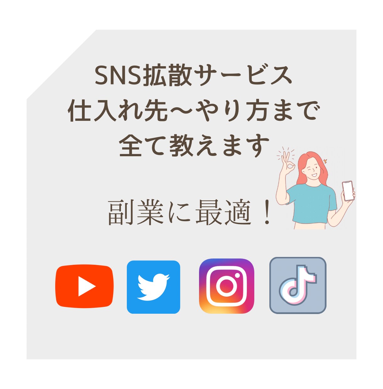 SNS フォロワー 販売 の ノウハウ 業者のやり方全て公開 YouTube Instagram TikTok Twitter 再生回数 高評価  いいね シェア リツイート - ソフトウエア