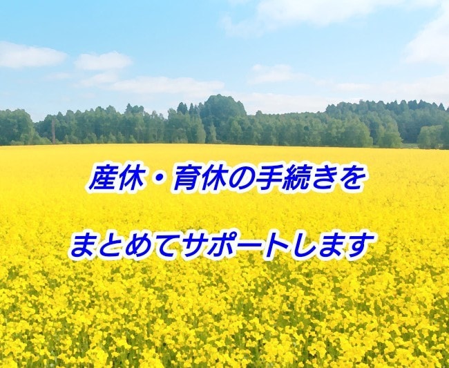 産休・育休の手続きをまとめてサポートします 産休・育休期間の社会保険・雇用保険の手続きをサポートします。 イメージ1