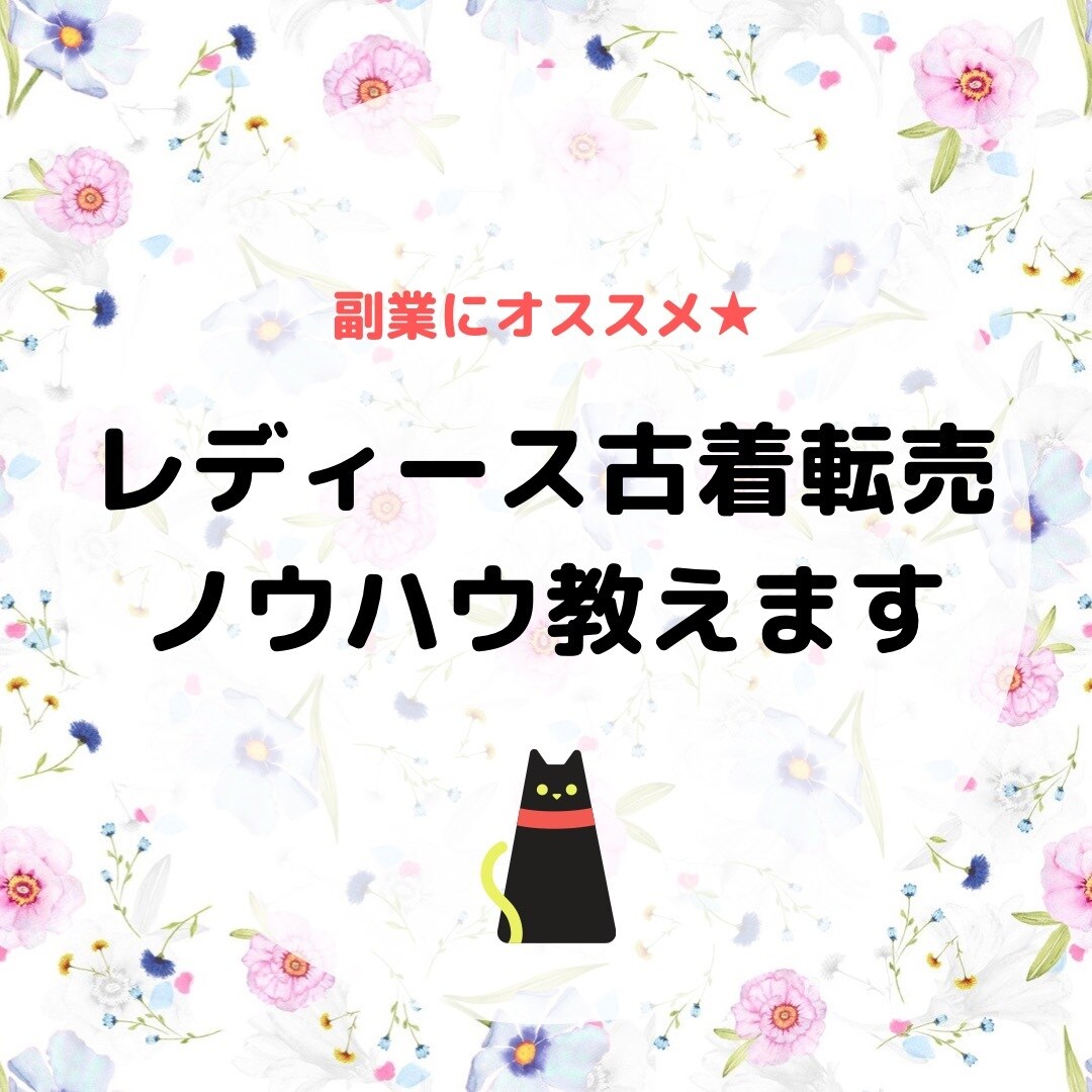 副業にオススメのレディース古着転売ノウハウ教えます 低資金で手軽にすぐ始められ、副業にとてもオススメです♪ イメージ1