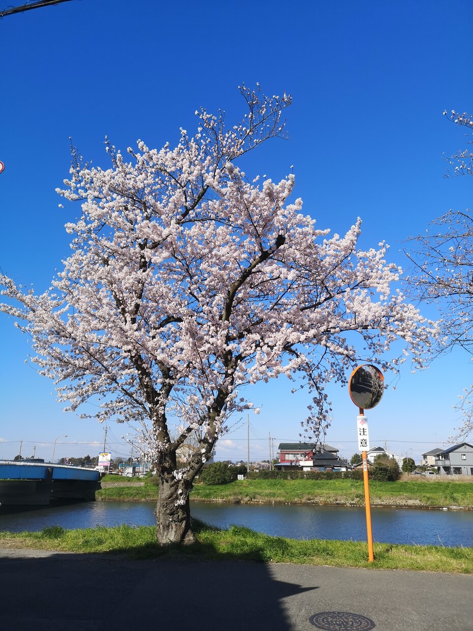 1週間チャットでゆっくり話し相手になります 何通でもOK！創作物の悩み・雑談等交換日記感覚で楽しむ イメージ4