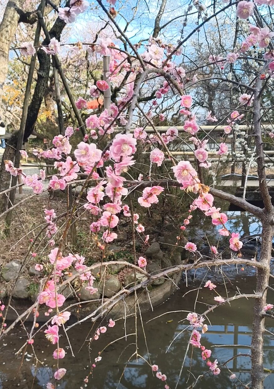 1分でも。あなたの安心を応援します なんとなくの時間を大事にします☘何でも話しましょう☘ イメージ4