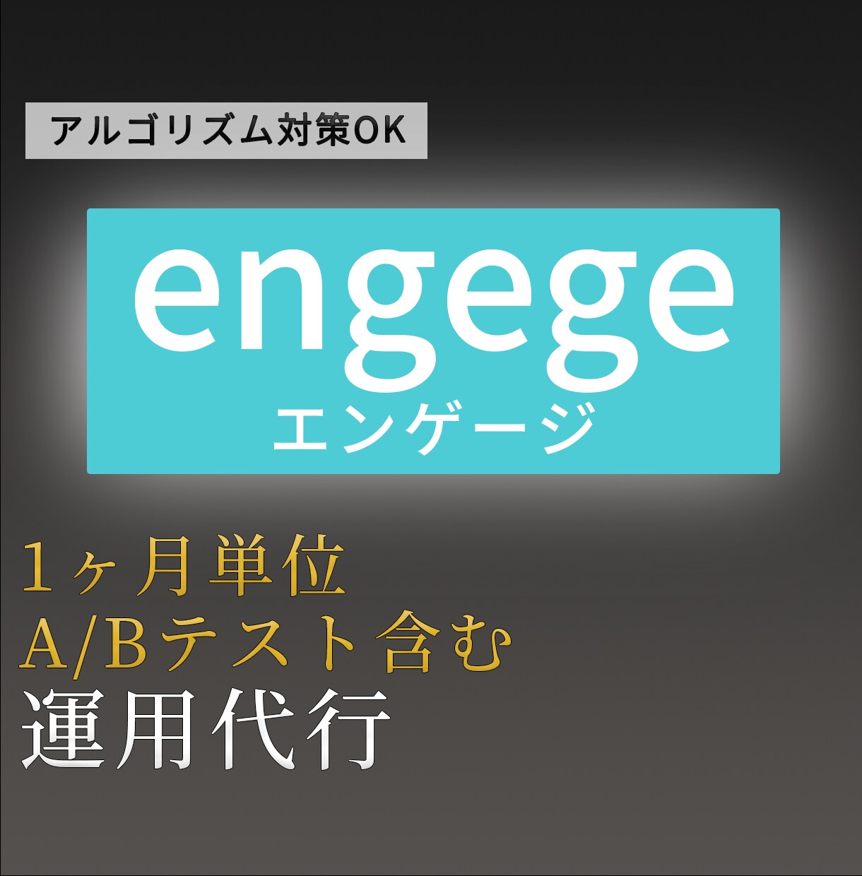 1ヶ月／engage（エンゲージ）を運用代行します 人材確保メインの現役アドバイザー／内製化した運用ノウハウ活用 イメージ1