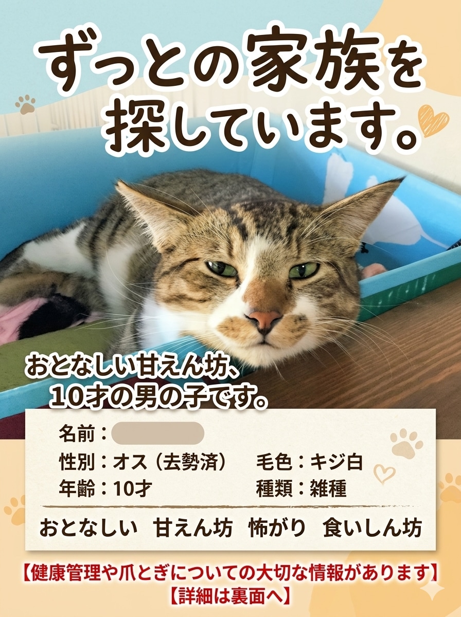 ペットの里親募集デザインを作成します SNS用画像やバナー、ポスターなど イメージ1