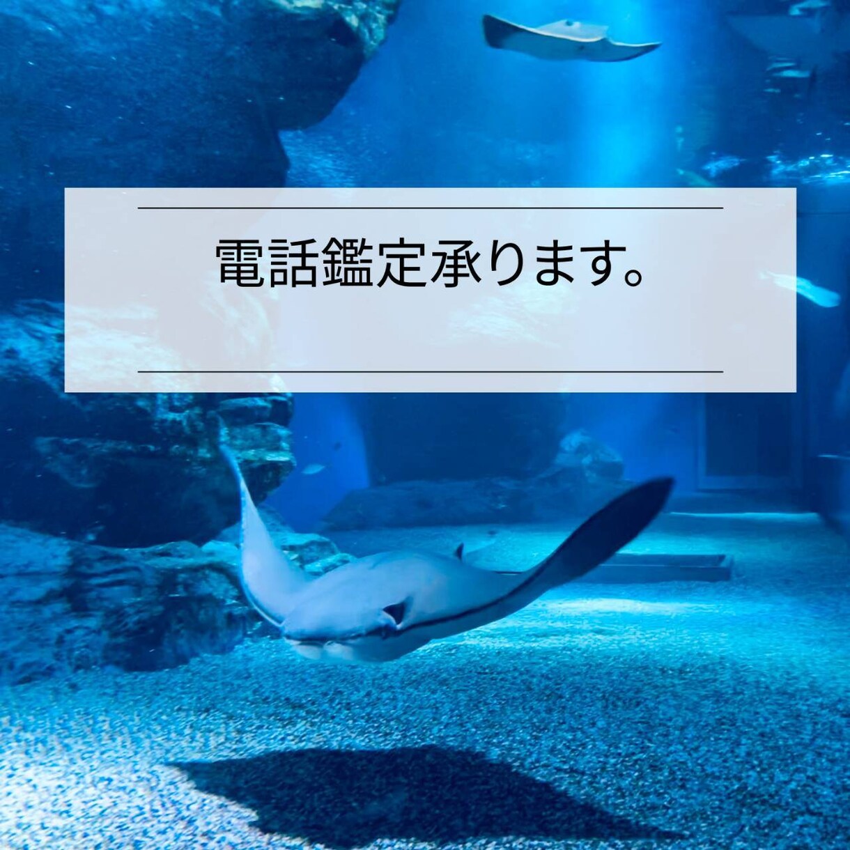 電話鑑定承ります 各種お悩み相談を電話鑑定にて承ります。 イメージ1