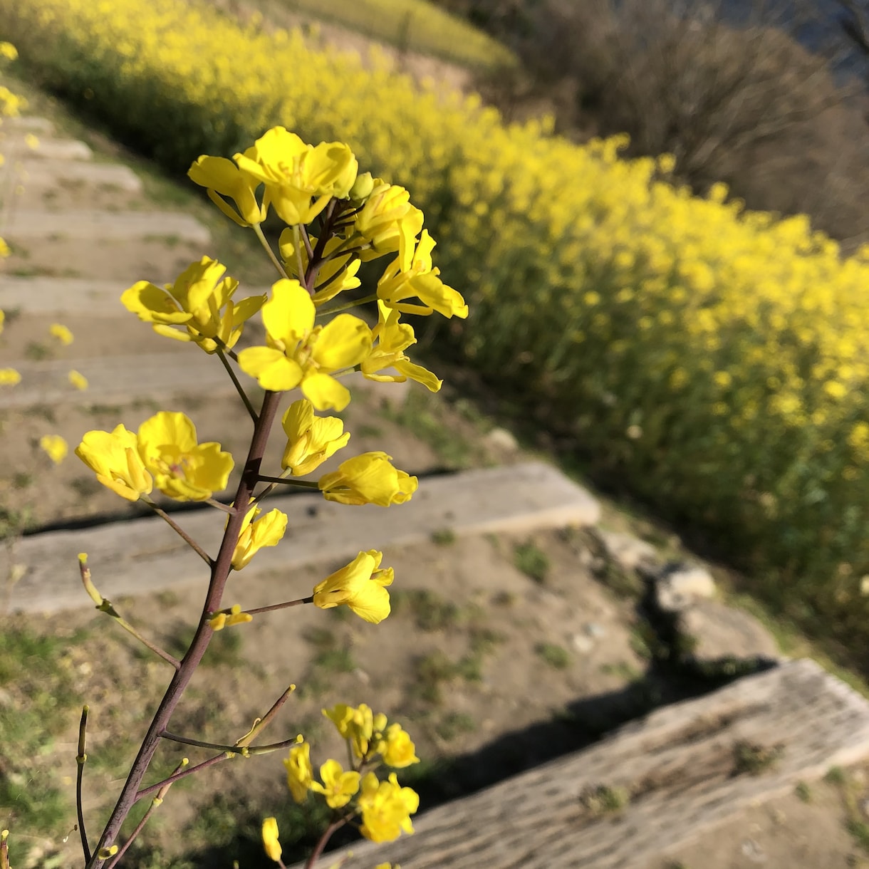 悩める人のためなら何でも聞きます 心のケアたりてますか？一緒にお話しましょー！ イメージ1