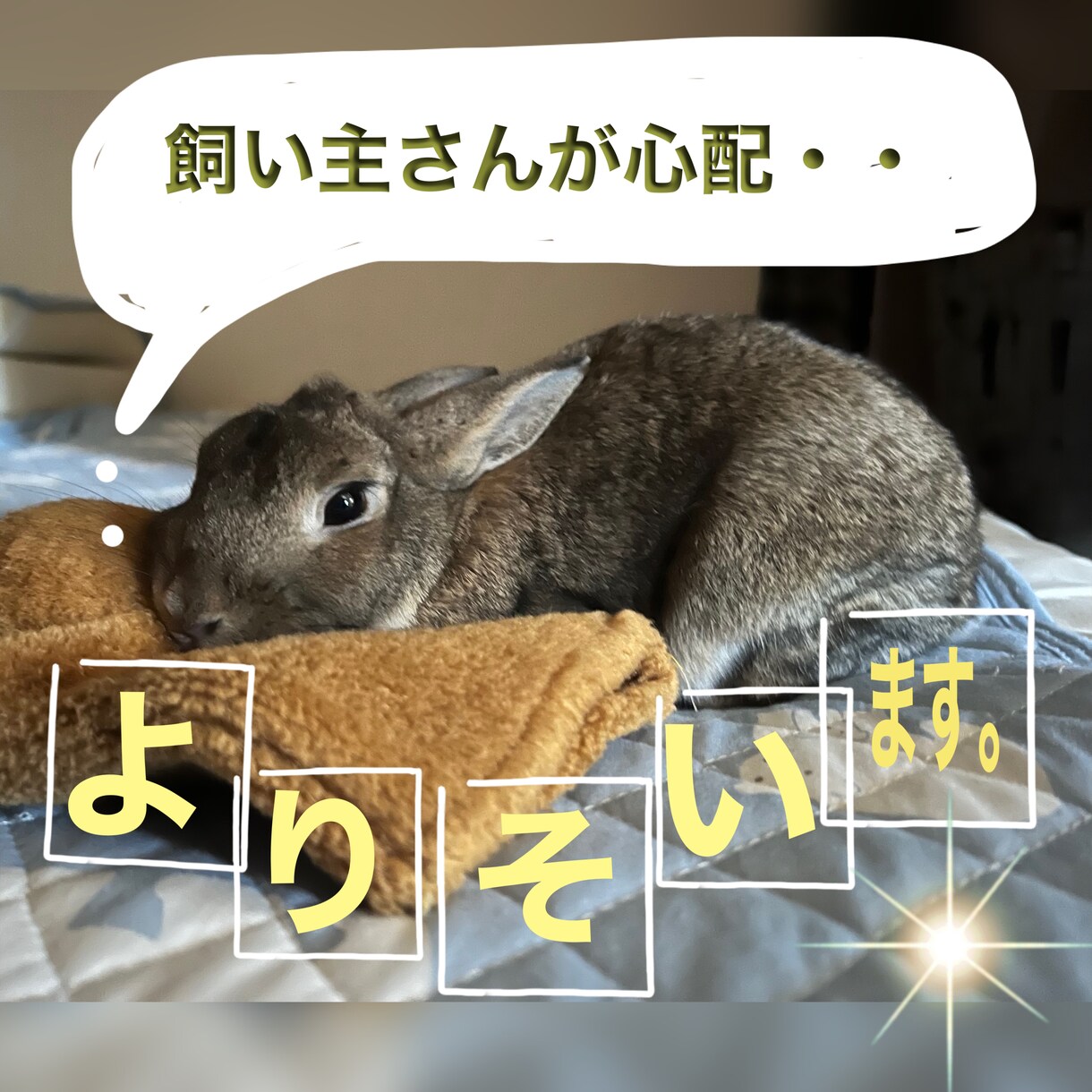 ペットが病気で心配で眠れない。お話し聞きます ペットが心配で夜眠れない。。そんな時に連絡ください。 イメージ1