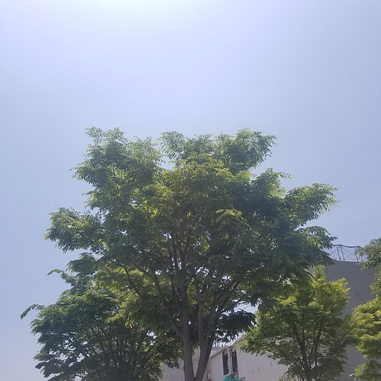 イケボの元うつ病ヤンデレが話聞きます うつ病っぽい、病んでる方におすすめです。 イメージ1
