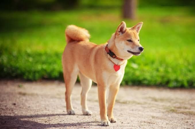 画像の切り抜きをします 面倒な作業もボタン一つで楽チン！！ イメージ1