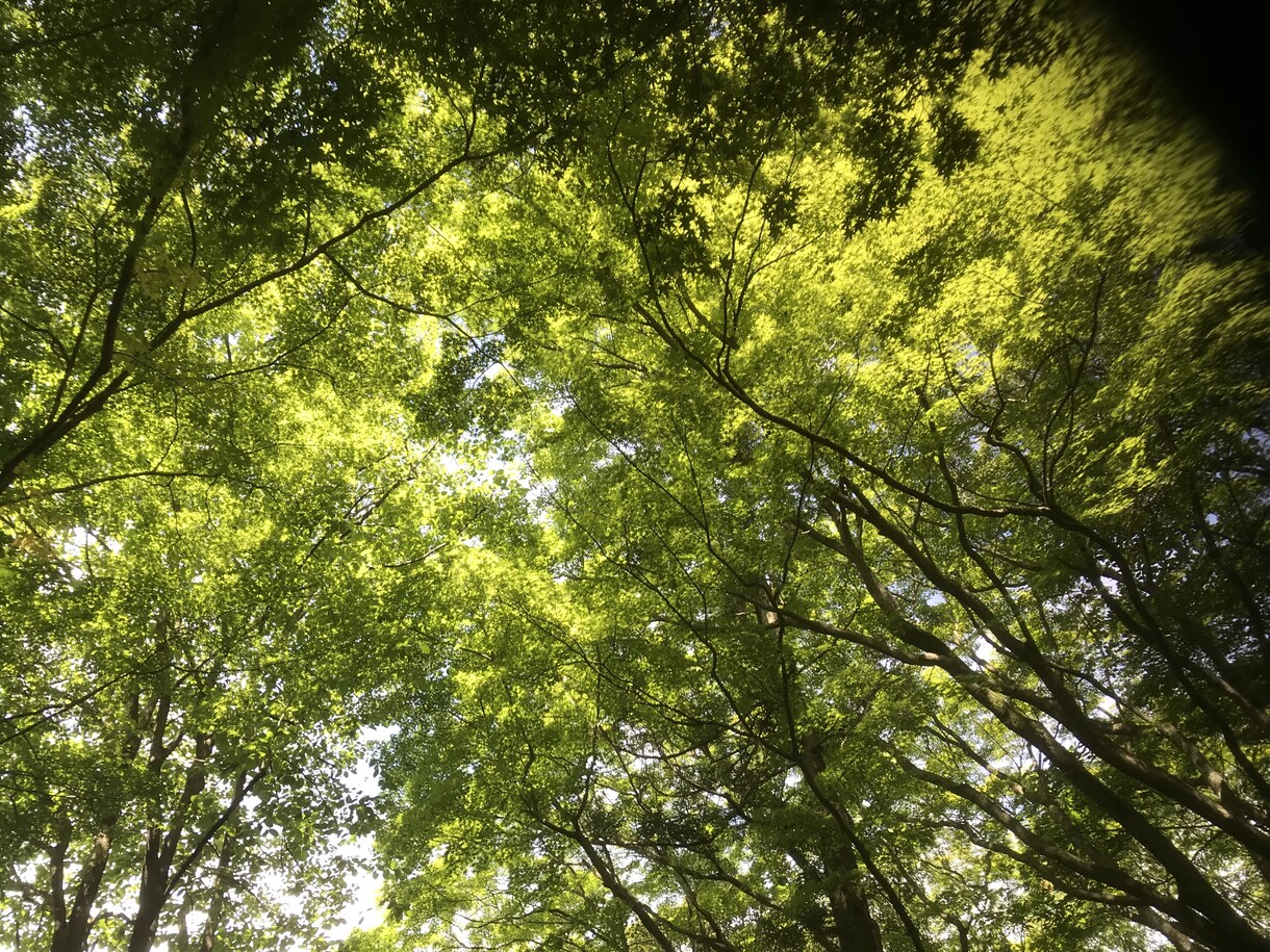 どんな話しでも聞きます とにかく話しを聞いてほしい方お気軽にどうぞ！ イメージ1
