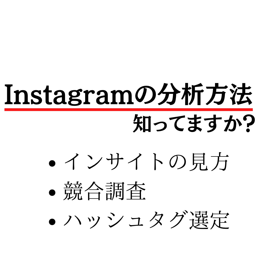 ビデオチャットでアカウント設計、分析をいたします まずはフォロワー1000人を目指すためのノウハウを教えます イメージ2