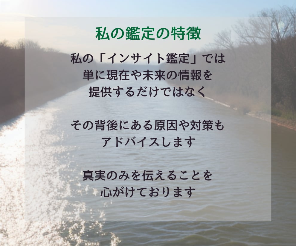 インサイト鑑定！数秘術×タロットで仕事運鑑定します 悩みの具体化と理想へたどりつくためのアドバイスをあなたに イメージ6