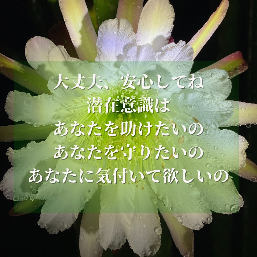 潜在意識に深く入るヨガ＆ヒプノセラピーで解決します 心身バランス整え相乗効果！直感☆集中力＆洞察力UP《４時間》 イメージ9