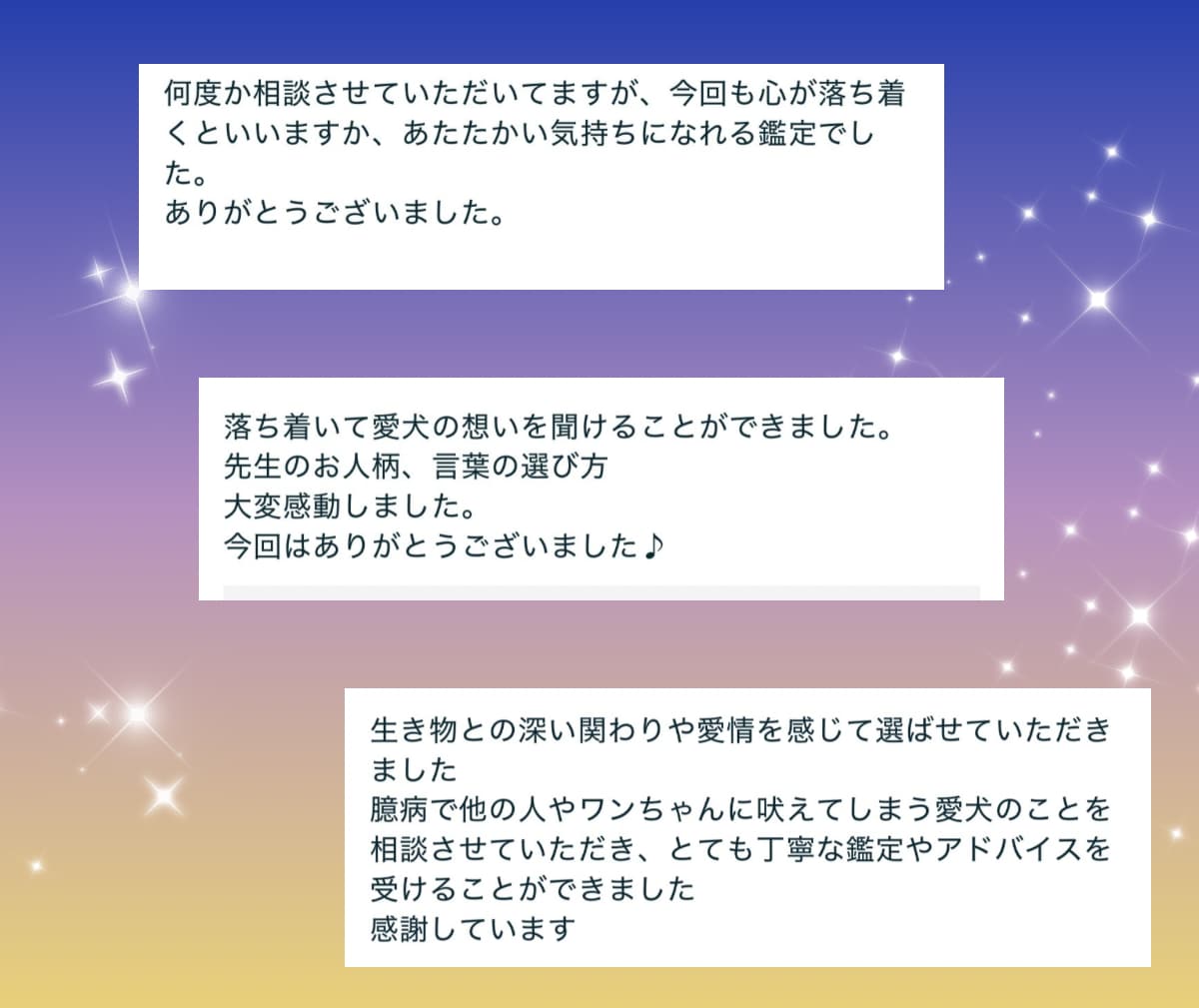 大切なペットがあなたに伝えたい想いを届けます 飼い主さんと心を繋ぐペットタロット！虹の橋の子にも対応 イメージ8
