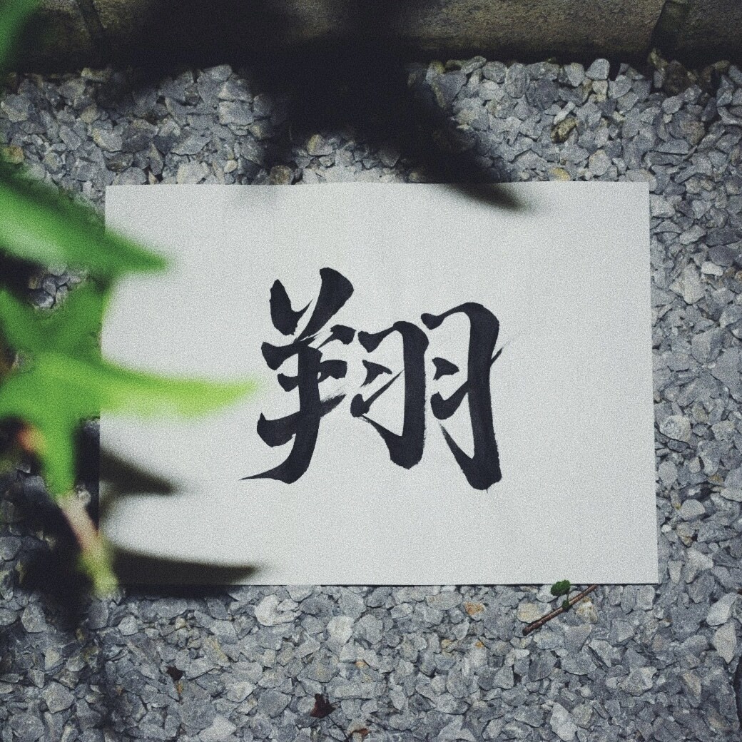 丹精込めてオリジナルの書道デザインを作成します ロゴ/アイコン/命名書を検討している方へ(日本語/外国語) イメージ8