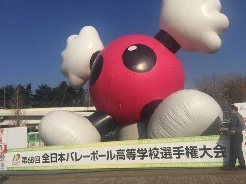 バレーボール（主にセッター）技術サポートします 全国大会に出場しました。ポジションセッターです。 イメージ1