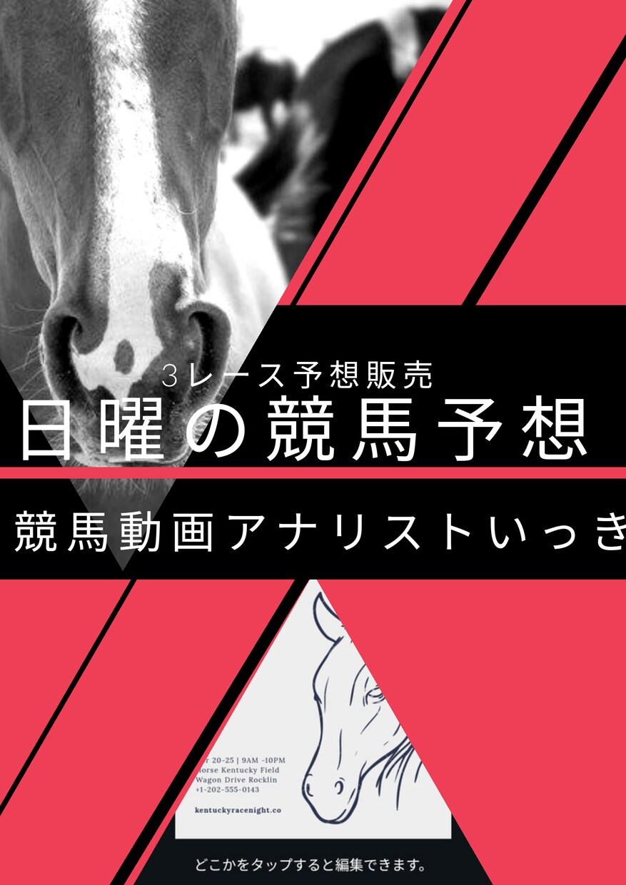 日曜日のメイン2つのレース予想を販売します 馬連5点以内。3連複15点前後で予想します。 イメージ1