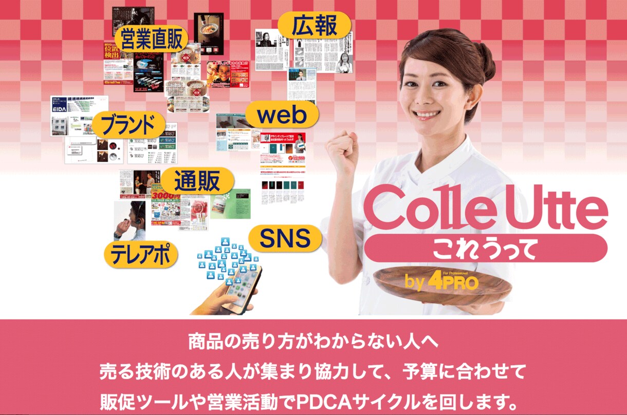 100円広告相談＋ちらしDMバナーLPつくります 100円で販促売れるマーケティングアドバイスします。 イメージ5