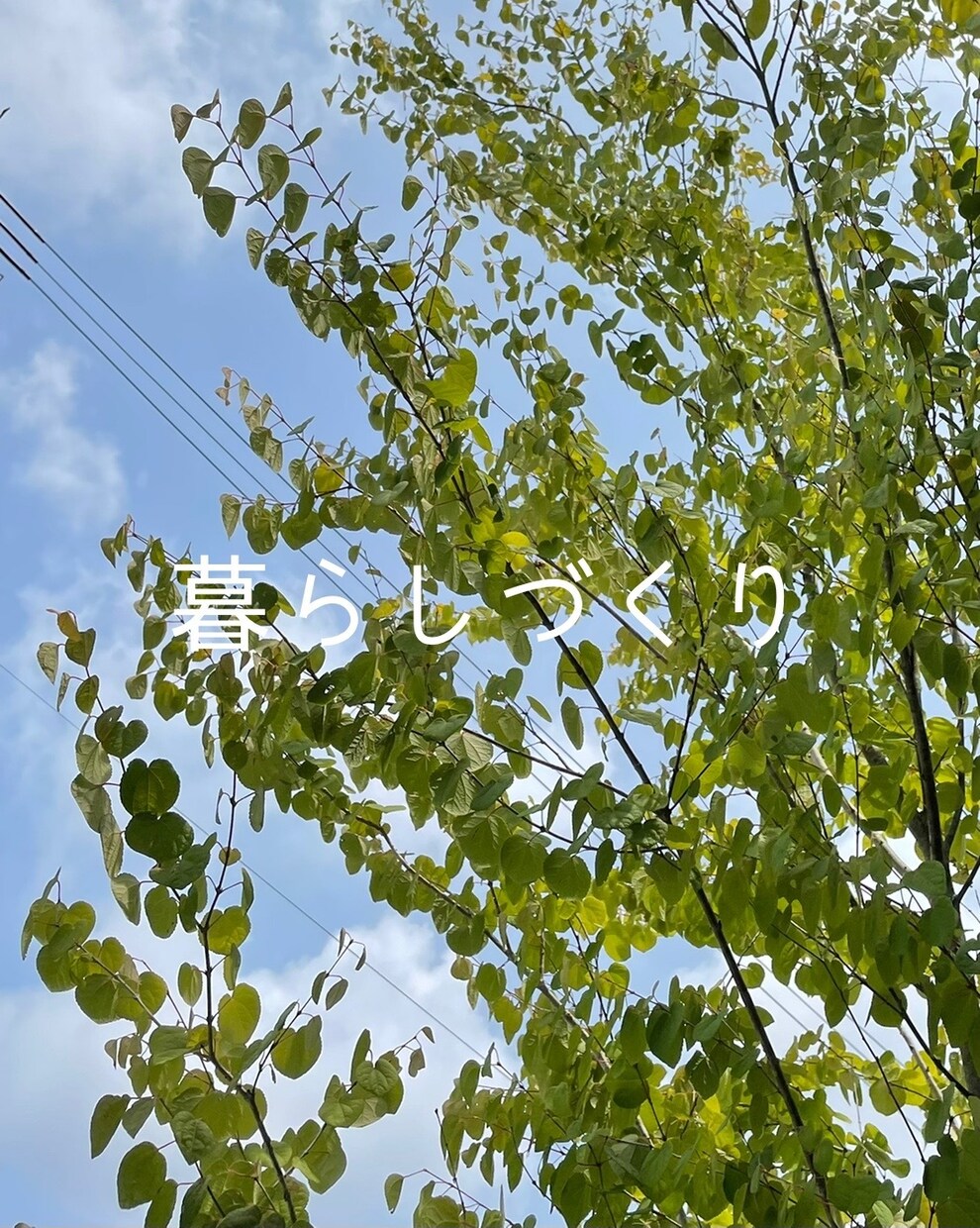 土地の探し方やプランについて、アドバイスします 家づくりは暮らしづくり、カフェのような居心地を実現します。 イメージ1