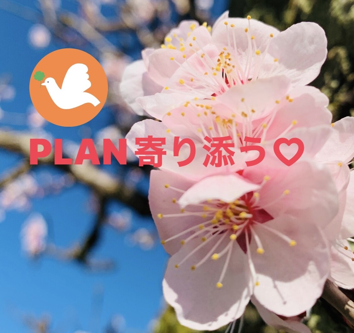 あなたと♪はとやは♪癒しの電話でつながります 5分でもOK♡心のまど一緒に開きましょう♡プラン➕寄り添う イメージ3