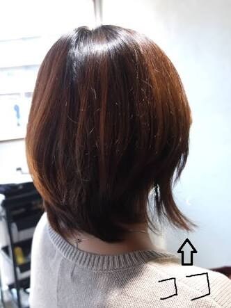 ダメージ毛、くせ毛でお悩みにヘアケア相談のります 全然、髪質が良くならないかたへ。 イメージ1