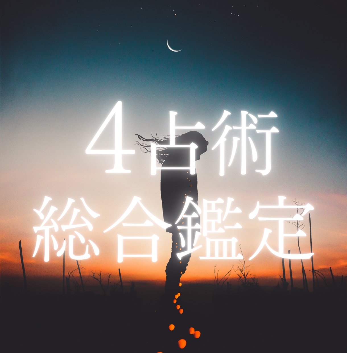 4占術をお試し✨性格と今後1ヶ月間の運勢教えます 西洋占星術・四柱推命・九星気学・数秘術を使った詳細占い！ イメージ1
