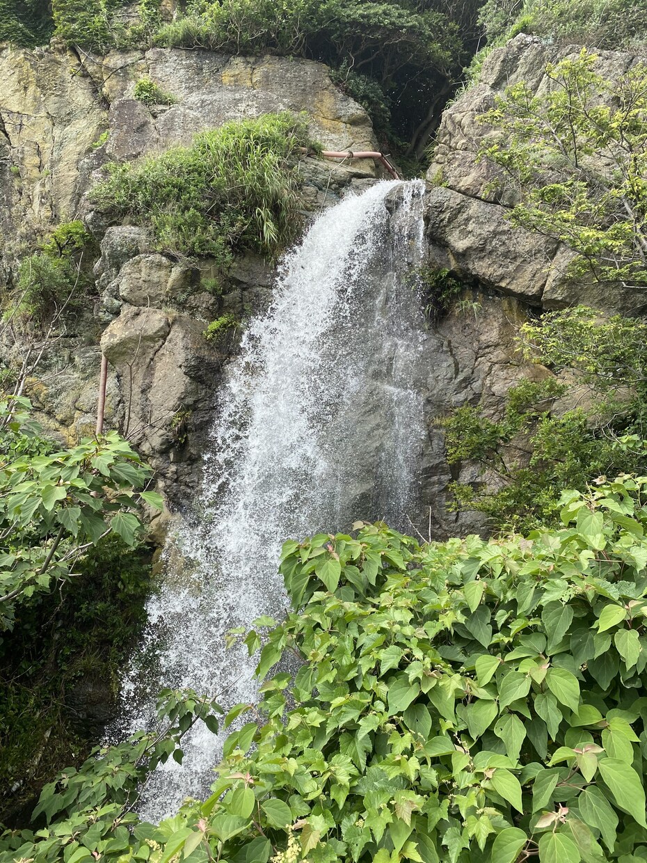 旅行の計画をあなたの代わりに立てます スケジュール、観光場所のプランニング イメージ3