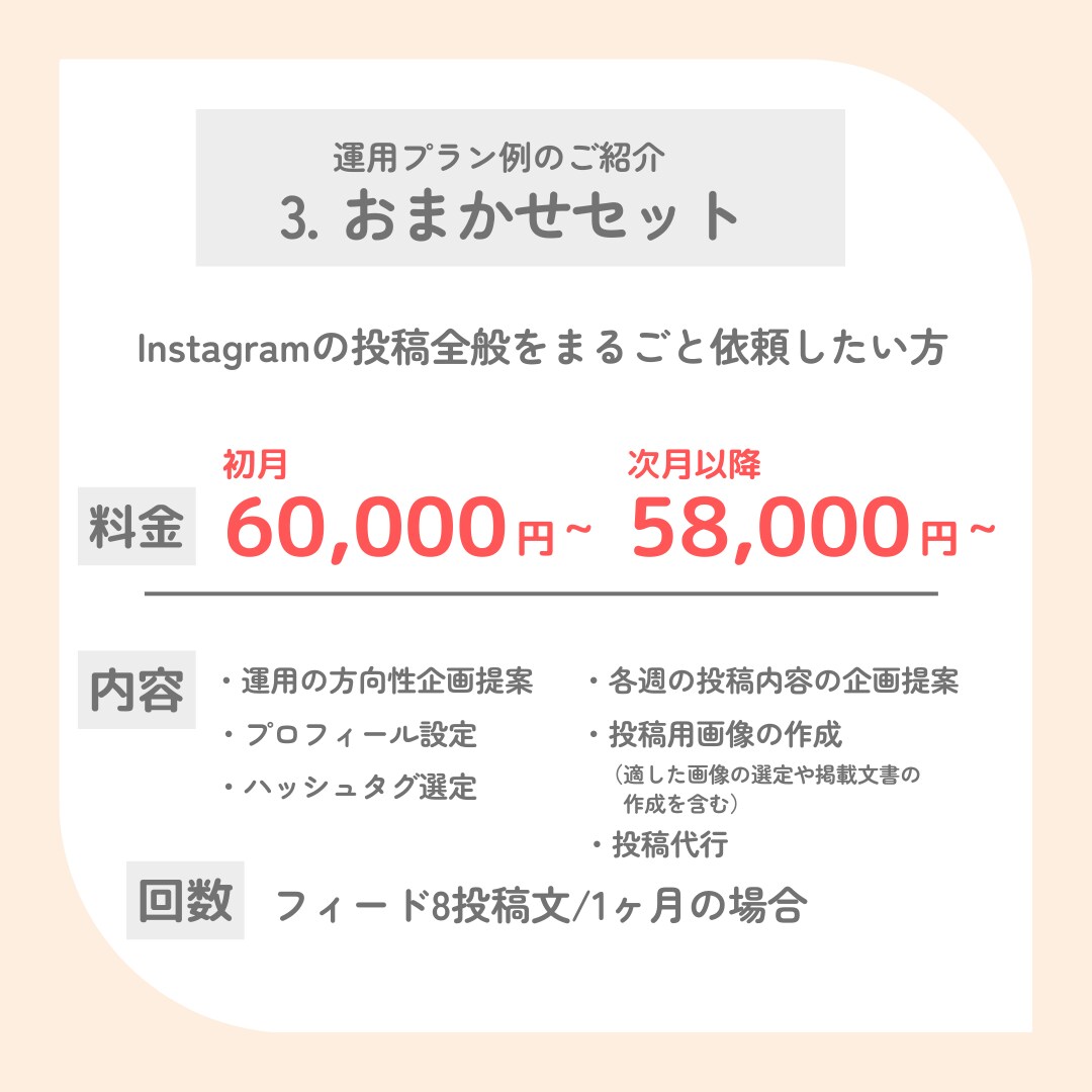 現役マーケターがInstagram運用代行をします 『画像制作のみ』から『全部おまかせ』まで！最適プランを提案！ イメージ5