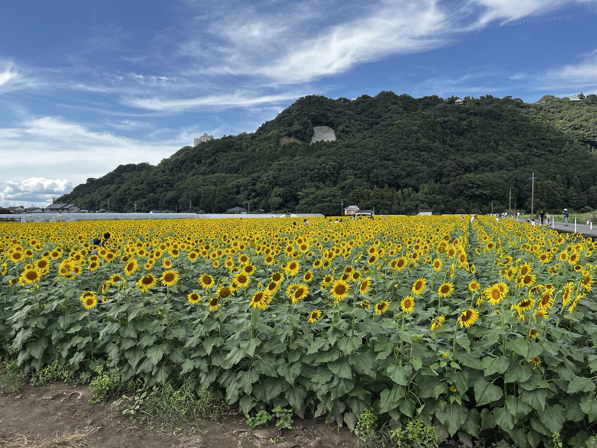 あなたのその悩み解決します あなたの1日は、どんな1日でしたか？私にも聞かせてください イメージ1
