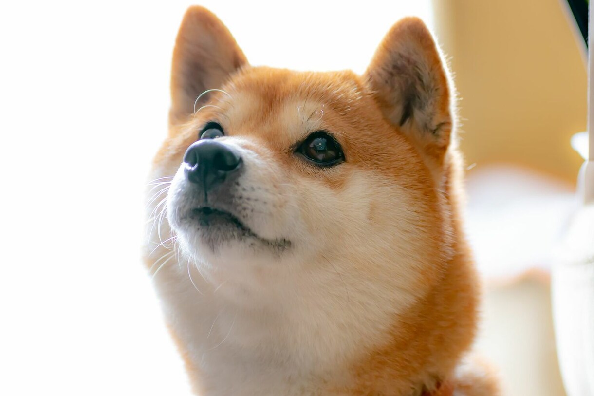 何でもいいから話を聞いてほしい！話し聞きます 真剣な悩みから些細な出来事まで何でも話してください！ イメージ5