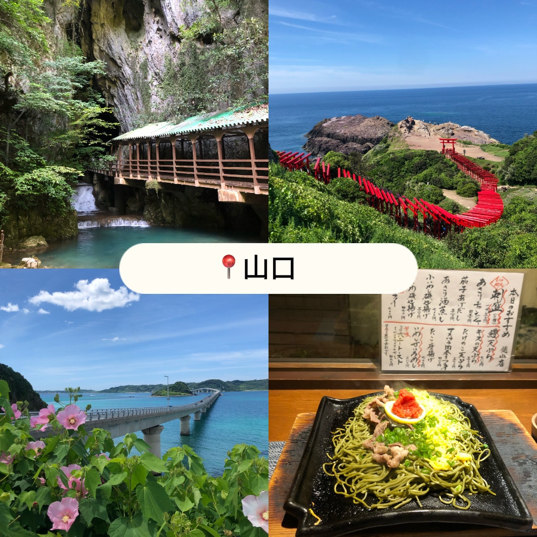 旅好きさん集合✈️ ✨あなたの感動お聞きします 旅好き女子と一緒に思い出共有しませんか╰(*´︶`*)╯♡ イメージ4