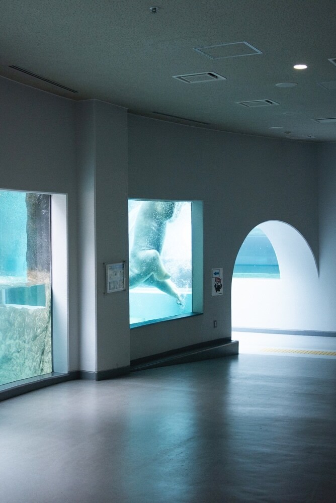 写真集などの作品構成、お手伝いします 貴方らしい写真の魅せ方教えます。 イメージ2