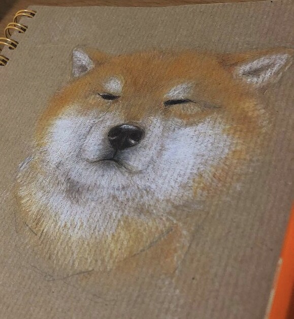 高校生が大切なペットのの色鉛筆画書きます 動物鉛筆画を安くオーダーしております。 イメージ2