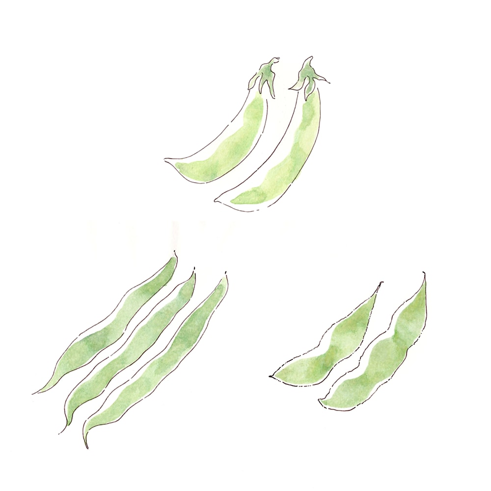 淡く優しい雰囲気のフードイラスト描きます イメージを膨らませるための挿絵に イメージ3
