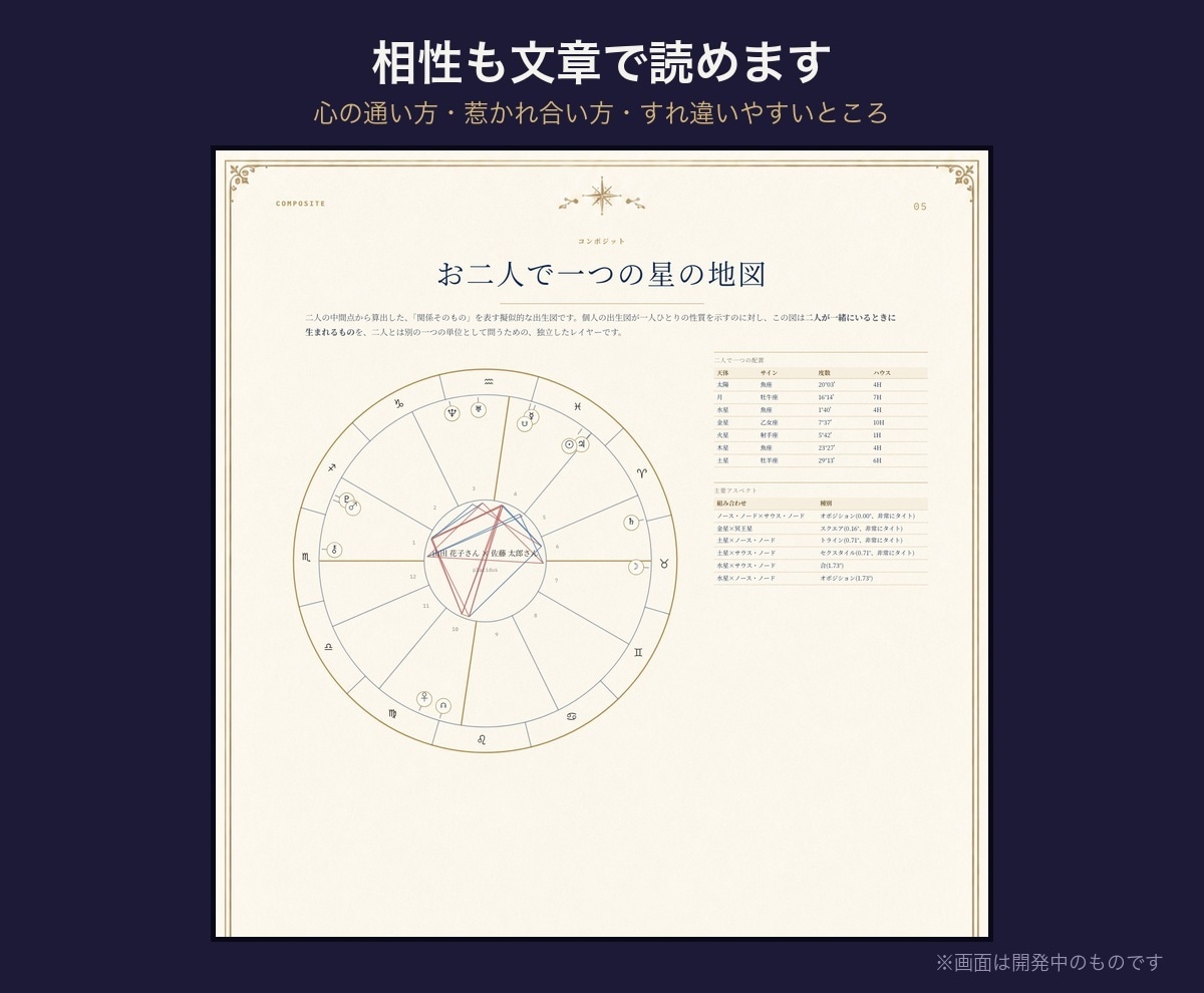 西洋占星術のホロスコープ／鑑定書ツールを提供します ハウス・アスペクト・年運・相性も自動。文章は書き換え可 イメージ10