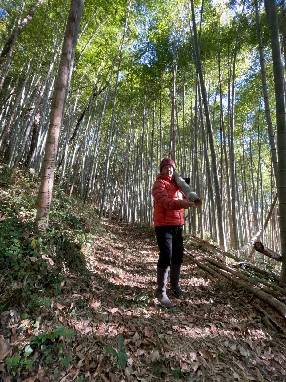 田舎暮らしについてシェアします 畑・人・自然・モノ作りを楽しむ（私の体験からのアドバイス） イメージ1