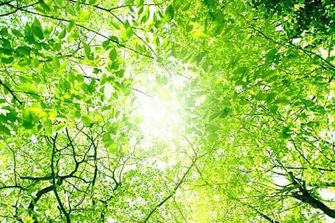 その苦しみから解放されませんか？ お話聞きます 対人関係、お金、仕事、恋愛や夫婦関係の悩み聴きます。 イメージ2