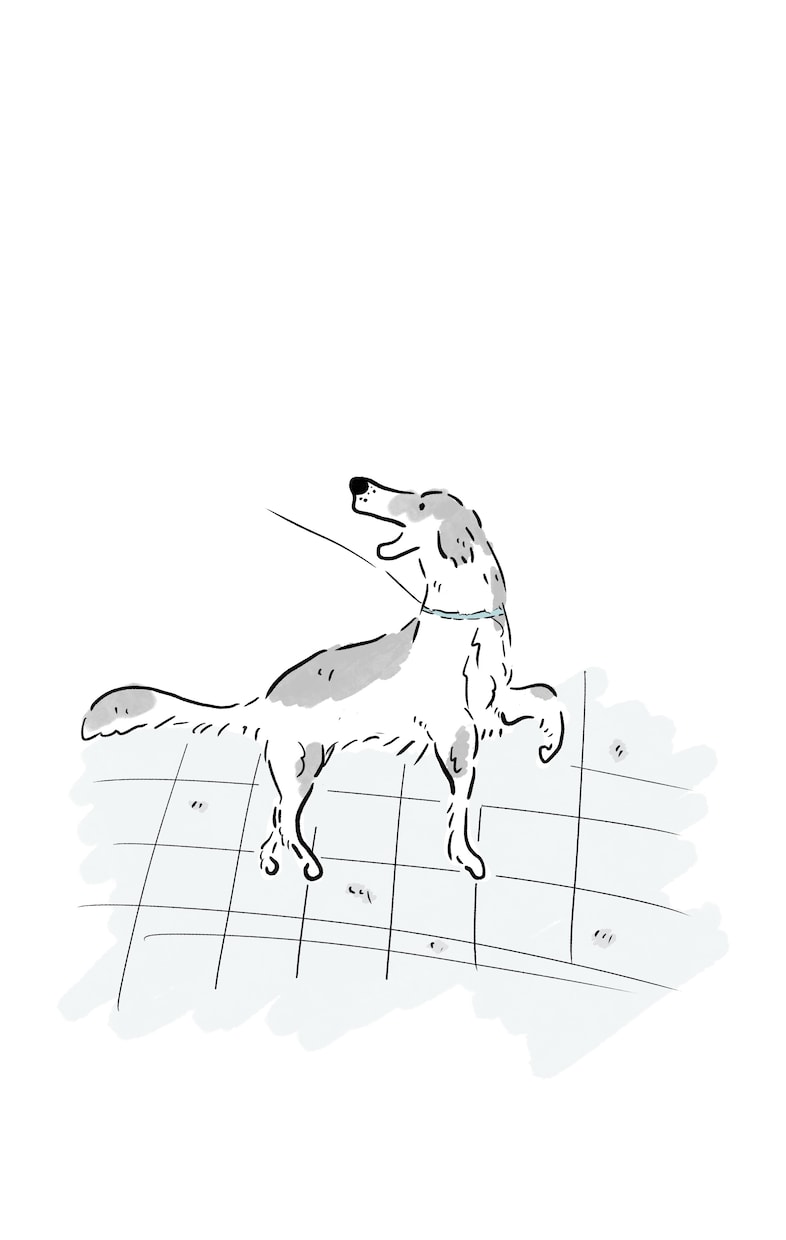 商用OK◎シンプルな動物やペットのイラスト描きます 親しみやすく可愛い1枚！アイコン、グッズなどご利用できます。 イメージ6