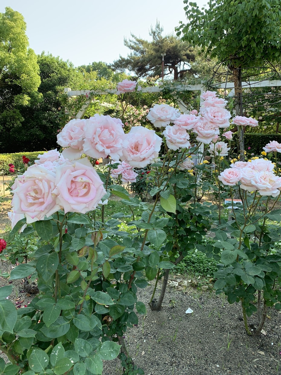関西弁でも♥️あなたのお話聞きます 今夜はゆっくり♥️愚痴/雑談/話し相手にどうぞ✨ イメージ6