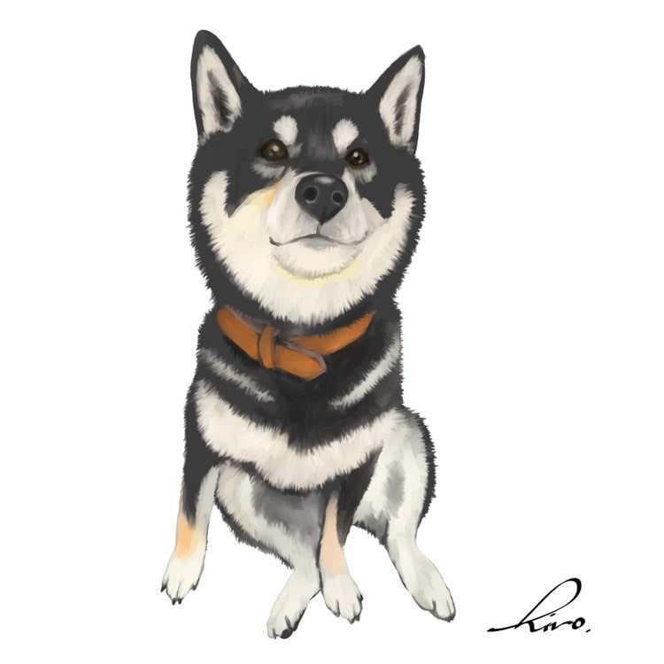 かわいいうちの子を描きます あなたの愛犬、愛猫をイラストにしませんか？ イメージ9